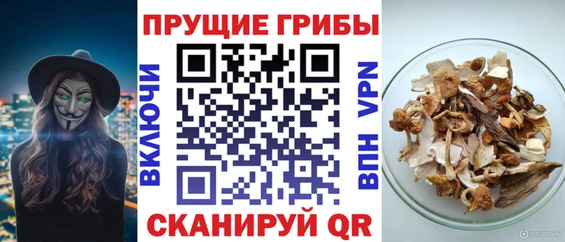 купить наркоту  Печора  Галлюциногенные грибы ЛСД 
